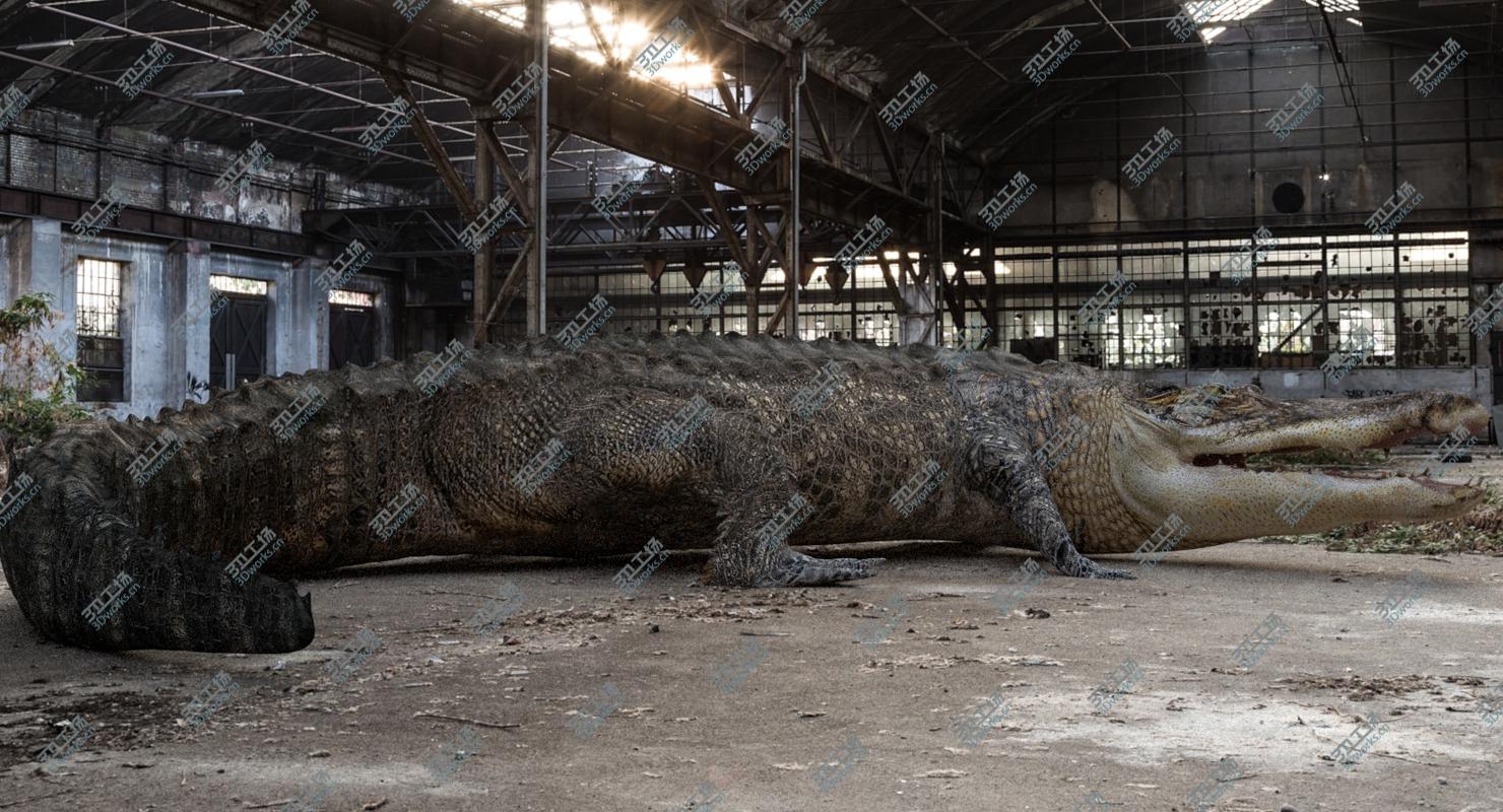 images/goods_img/20210319/3D Crocodile Rigged model/4.jpg